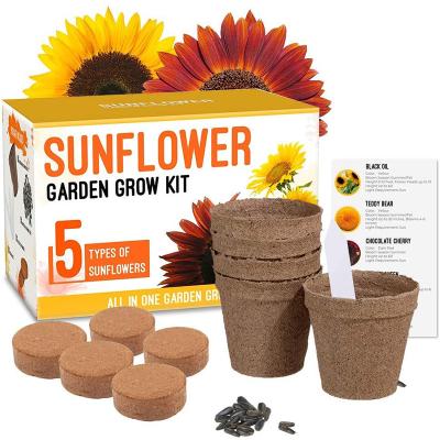 China Modern Complete Gardeners Gift Beginner Clean Indoor Flower Garden Sunflower Start Grow Kit For Home Decoration for sale