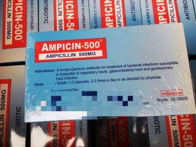 China Ampicillin Capsules 250MG 500MG BP / USP Penicillins Medicines for sale