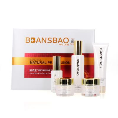 China High Quality Anti Acne Whitening Organic Skin Care Set Anti Aging Stock Lot for sale