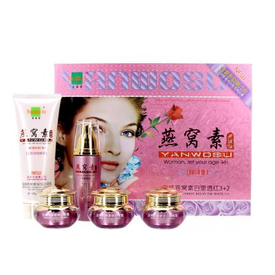 China Factory direct sale anti aging moisturize offer skin face skin care whitening cream set for sale