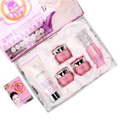 China China Wholesale Anti Acne Anti Aging Whitening All Natural Organic Beauty Skin Care Set for sale