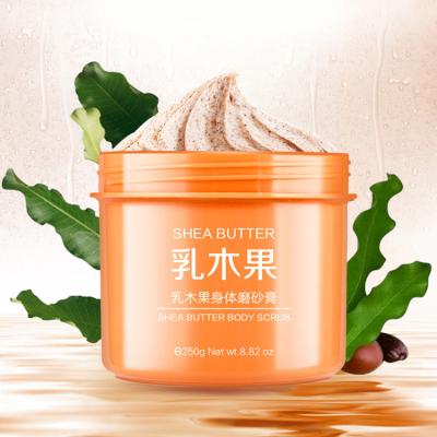 China Private Label 250g Natural Exfoliator Exfoliate Bulk Shea Butter Whitening Body Scrub For Black Skin for sale