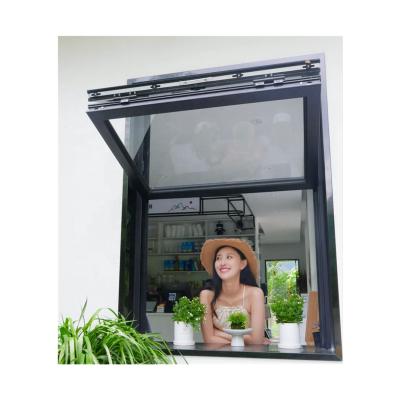 China Modern Double Glazed Tempered Glass Windows for sale