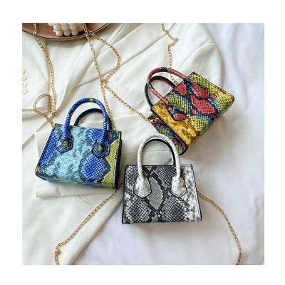 China Luxury Designer Small Chunky Shoulder Crossbody Bags Women Handbags Mini Hand Bags Brand Purses 2021 Fashion Snake Print Female Totes for sale