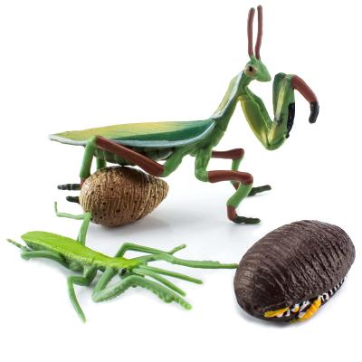 China 4 PCS Realistic Insect Mantis Animal Life Cycle Model Figure Cake Toppers Learning Development Toys for Boys Girls Kids for sale