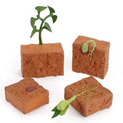 China 4 PCS Modelo de ciclo de vida de las plantas de la granja Figura Toppers de pastel Juguetes de aprendizaje para niños Niñas Niños en venta