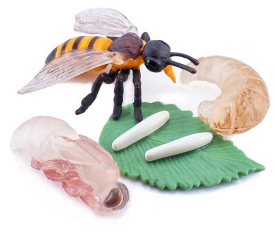 China Realistic 4 PCS Bee Animal Life Cycle Insect Growth Model Figure Cake Toppers Toys For Boy Girl Kid for sale