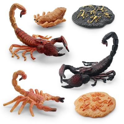 China Scorpion Life Cycle Figure Model Toy For Boys Girls Kids for sale