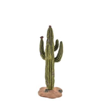 China Figuras de plantas realistas Cactus verde Colección de juguetes favoritos de fiesta juguetes en venta