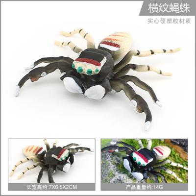 China Insect Figures Model Toy Fly Spider Figures Party Favors Supplies Cake Toppers Decoratie Set Speelgoed Te koop