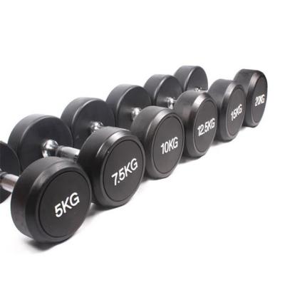 China Durable Gym Accessories Workout Equipment Standard Dumbbell Set Weightlifting Training Indoor Sport Coated Dumbbell for sale