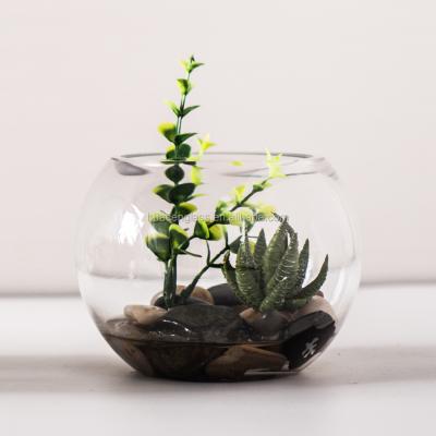 China Eco-friendy diameter 10 cm 4 inch glass ball mini fishbowl creative table decoration miniature plant landscape for sale