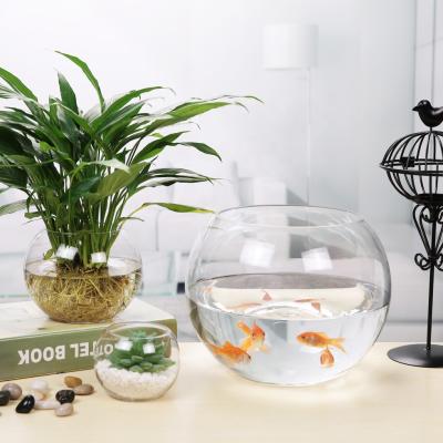 China Cheap clear glass aquarium /fish bowls/ round ball fishbowl / viable stock 10cm diameter plant for sale