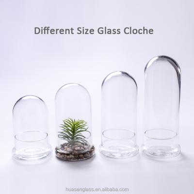 China Eco-friendy Clear Oval Glass Dome Cloche With Base, Glass Dome For Decoration for sale