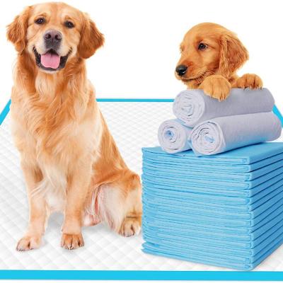 China Viable Wholesale Pet Toilet Success Amazon Large Dog Pads Puppy Training Disposable Dog Pee Pad for sale