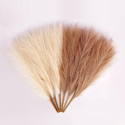 China Artificial Flower Home Deco VPX1104 Bouquet Decor The Little Pampas Grass Amazon 45cm Warm Pampas Reed For Home Decoration for sale