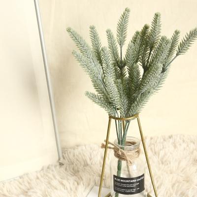 China Eco-friendly PX1416 Foxtail Grass Decorative Grass Bouquet Dried Pampas Grass Plants for sale