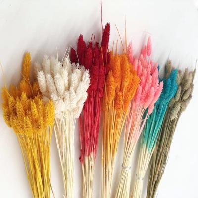 China House VPX1508 Colorful Natrual Dried Flower Gem Grass For Home Decoration for sale