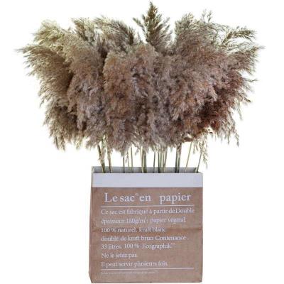 China PX618 Hot Selling Natural Material Reed Dried Flower Natural Dried Pampas Grass Tall Pampas Grass for Party Decor and Wedding Backdrop for sale