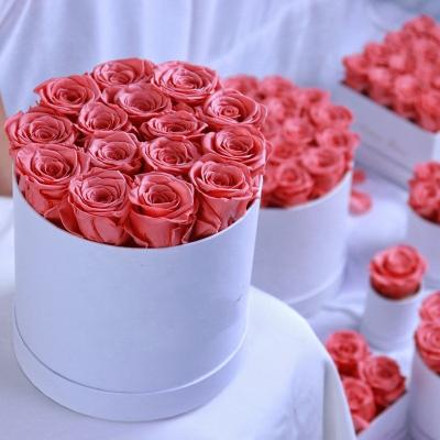 China PX1452 Green Environmental Protection Eternal Roses Preserved Flowers rosas eternas preservadas 2020 Decorative Rose Box Gift Preserved Forever Roses for sale