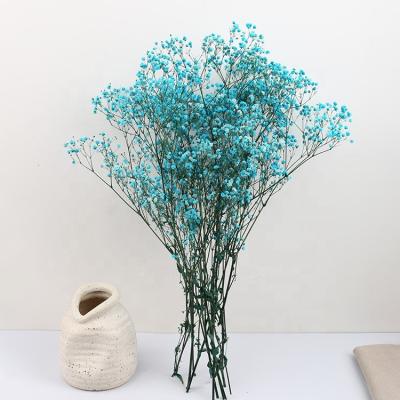 China PX1554 Party and Home Decoration Wholesale Preserved Flowers Dried Flower Bouquet Gypsophila Flowers Baby's Breath Decorative Wedding Decorations for sale