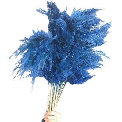 China 3PX228 Indoor And Outdoor Large Decoration Bouquet Decor Wholesale Preserved Flowers Natural Fluffy Pampas Grass Large 150 Cm Grass Pampas For Wedding for sale