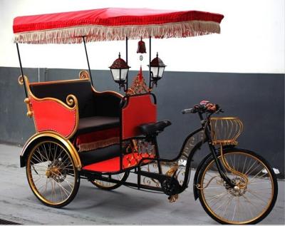 China Passenger Electric Battery Auto Rickshaw For Sale In India Market for sale