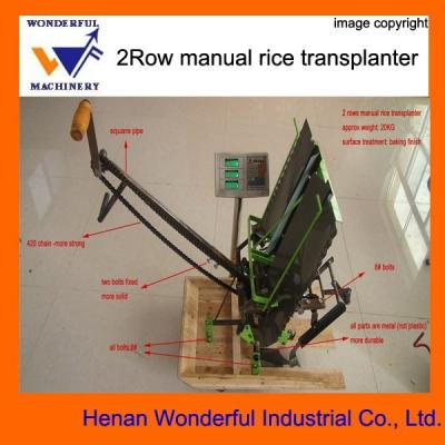 China Rice planting WDF brand 2 row manual mini rice transplanter price for sale