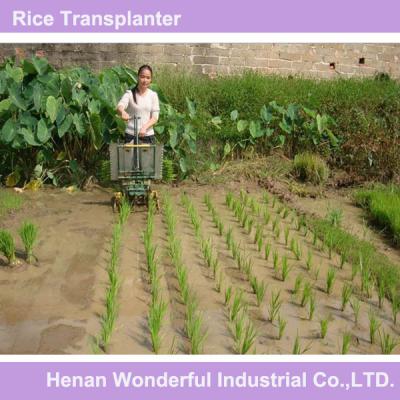 China Rice planting manual rice transplanter machine for sale