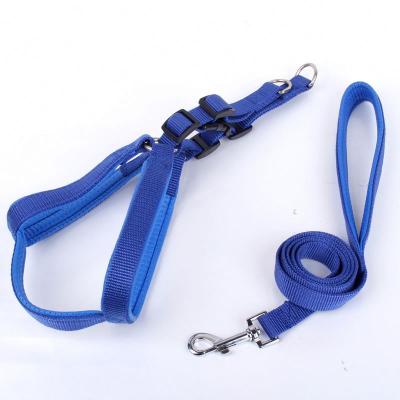 China Personalized Pet Supplies Anti-Injury PP Foam Medium Harnesses And Large Dog Leash for sale