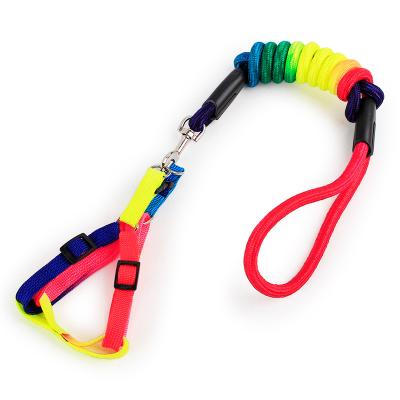 China Iridescent Dog Collars Stocked Colorful Leash Color Pet Harness and Leash for sale