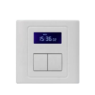 China Automatic Office Building Electronic Timer Light Switch Etc. Smart 2gang with multiple times settings for sale