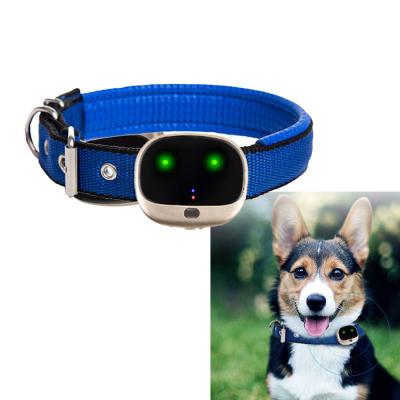 China Simple High Tech Gps Dog Collar 4g Smart Waterproof Gps Tracking Device For Dogs for sale