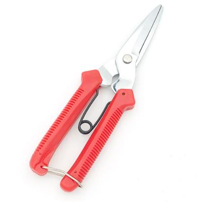 China Best Selling Stainless Steel Anti-Slip Scissors Multi Function Handle Pruning Scissors Plant Grafting Scissors Gardening Tools for sale