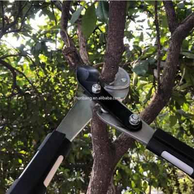 China Anti-skid Handle Order Customization Horticulture Aluminum Alloy Handle Shears Minor Adjustable Telescopic Reach Lopper for sale