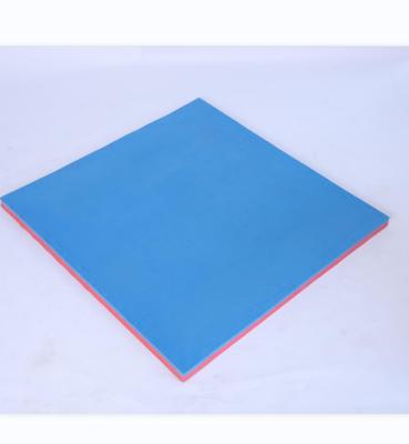 China Non-toxic EVA Color Tatami Taekwondo Mats in Low Price for sale