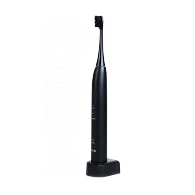 China Battery Operated Wholesale Waterproof Rechargeable Sonic Electric Toothbrush for sale