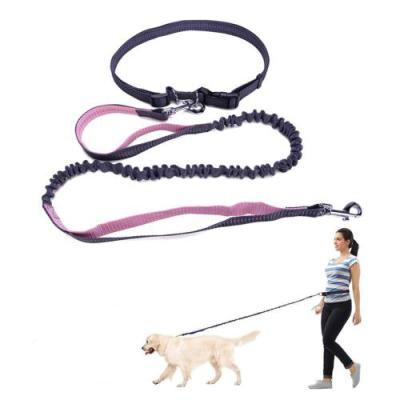 China Amazon Thoughtful Hot Sale Running Walkingtraining Hands Free Dog Waist Retractable Traction Rope for sale