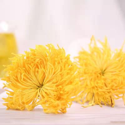 China New Listing 100% Herbals Tea 2021 Flower Chrysanthemum Flower Chrysanthemum Powder Chinese Natural Gold Blooming Blooming Tea for sale