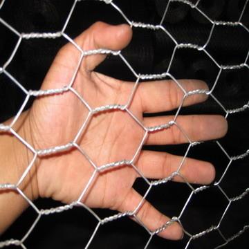 China Galvanized Hexagonal Wire Netting for sale