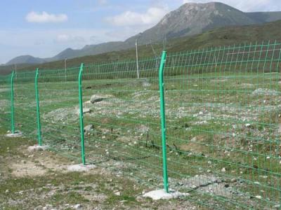 China Welded Wire Mesh Fence for sale