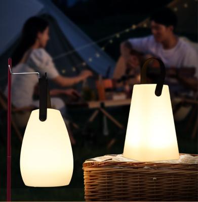 China Changing Color Dimmable Night Light for Living Room Latern Camping GRILL 8 Colors Rechargeable Remote Control Wireless Bed Light Lamp Table Lamp for sale