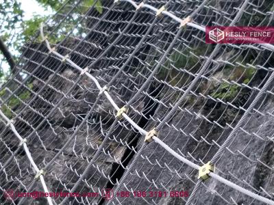 China SNS Active Rockfall Netting System | Steel Cable Mesh 30X30cm | 4.5X4.5m | 2.2mmX60mm grid for sale