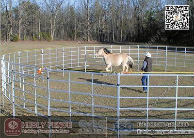 China China Corral Panels (Supplier) | Livestock Fence | Horse Corral Panels for sale