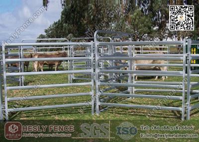 China China 1.6m high Corral Panels (Supplier) | oval pipe Horse Fence Panel for sale