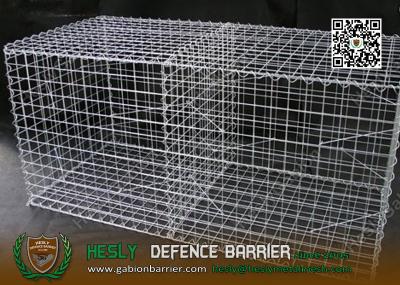 China Galfan Coated Welded Mesh Gabion | 2X1X1m | 50X50mm mesh opening for sale