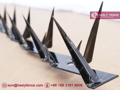 China Black Powder Coted Wall Spikes | Fencing Top Razor Spikes | Anti climb Spikes | HeslyFenc Brand China for sale