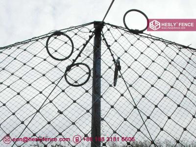 China Passive Rockfall Protection Barrier System | Steel Ring Net Catch Fence | High Tensile steel wire - China for sale