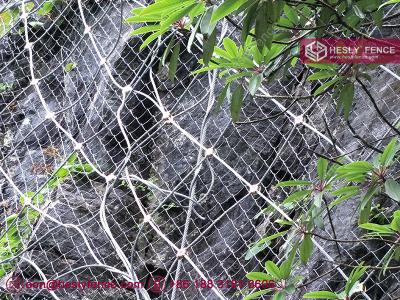 China Active Rockfall Protection Net system | galvanised steel rope mesh | high tensible steel grid | 8.0mm rope | HESLY for sale