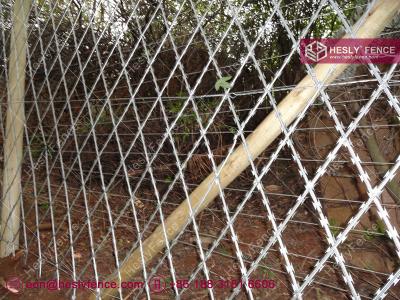 China 2.4mX6.0m, 150X300mm Diamond Hole Razor Fencing Mesh | China Welded Razor Mesh Supplier for sale